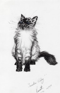 可愛い赤ちゃん、2015年（紙にインク） 作： Vincent Alexander Booth